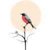Vogel im sanften Morgenlicht