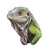 Iguan - Green Reverie
