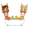 PFERDE - PFERD - PONY