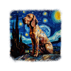 Bloodhound Van Gogh nuit étoilée