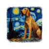 Bloodhound Van Gogh nuit étoilée