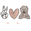 Irish Soft Coated Wheaten Terrier