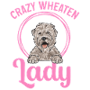 Irish Soft Coated Wheaten Terrier