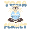 Ferret polecat cute