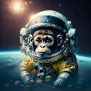 Singe de l’espace