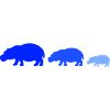 Famille des hippopotames