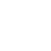 Bulldog Definition