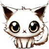 chat mignon