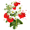 Erdbeeren Pflanze mit Erdbeeren Blüte Graffiti
