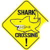 Shark Crossing Warnzeichen