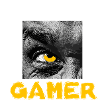 Dont mess with a gamer