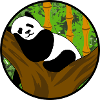 panda