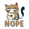 Nope Cat