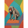 Bouldering Baboon