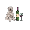 Irish Soft Coated Wheaten Terrier
