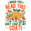 Coati Gift Proboscis Bear Coati