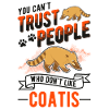 Coati Cadeau Coati Proboscis Bear