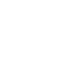 Passauerin Passauer Passau