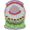 Blumenbeet