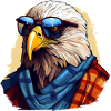 Streetwear Bald Eagle | Eagle lovers