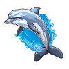 Dolphin - Coastal Harmony