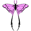 Moon moth