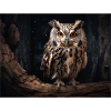 Owl on branch