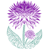Thistle purple Thistle