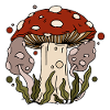 Mushrooms Plants Mushroom pickers