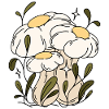 Mushrooms Plants Mushroom pickers