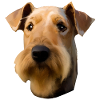 Airedale Terrier