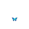 Saint - Tropez