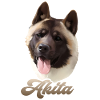 akita american