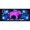 Zodiac sign Leo, constellation, astrology