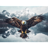 Flying Eagle