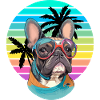 French Bulldog Retro Vibes