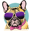 French Bulldog Retro Vibes