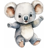 Koala Koala classe