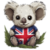 Australischer Koala