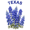 TEXAS BLUE BONNETS