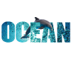 Ocean Dolphin