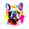 Frenchie, Bully, French Bulldog, Gift