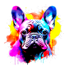 Frenchie, Bully, French Bulldog, Gift