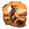 wunderschöner, rennender Gepard