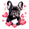 Frenchie, Bully, French Bulldog, Gift
