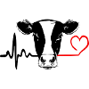 Cow Love Heartbeat