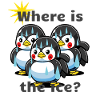 Sweating penguins. Climate it's warm.
