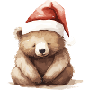 Kuschelbär im Winterlook!