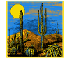 Camping Shirt, Desert Life Cactus Western Tee,