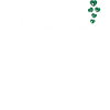 African Union